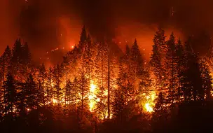 Relatório da ONU destaca influência humana no aquecimento global