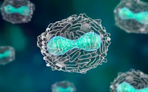 Fiocruz conclui sequenciamento genético de vírus monkeypox