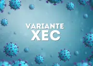 Variante XEC da Covid-19 é detectada no Rio de Janeiro: O que se Sabe Até Agora