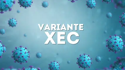 Variante XEC da Covid-19 é detectada no Rio de Janeiro: O que se Sabe Até Agora