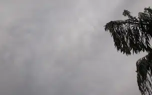 Tempo no Piauí: alerta de chuva e variação de clima em várias regiões