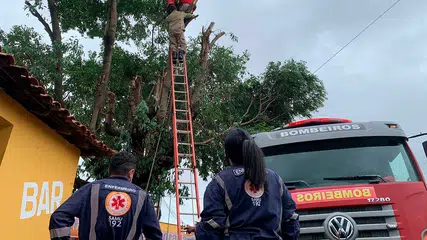 Jovem sofre descarga ao realizar poda de árvore e é resgatado em Piripiri