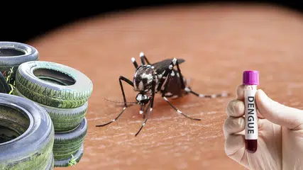 Mais da metade dos municípios do PI notificam casos de dengue e Sesapi intensifi