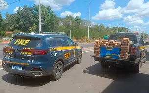 Caminhoneiro é preso em flagrante transportando mais de 1200 kg de droga em THE