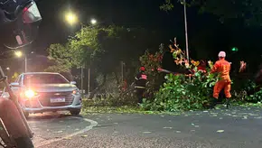 Um motoqueiro que passava pelo local acabou sendo atingido pela árvore que caiu