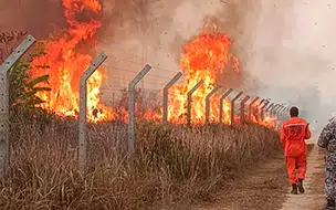 Secretaria de Meio Ambiente utiliza IA para prevenir incêndios no Piauí