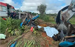 Motorista morre esmagado após caminhão com carga de grama tombar na BR-343
