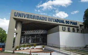 12 cursos da UESPI conquistam nota máxima no Enade das Licenciaturas 2025