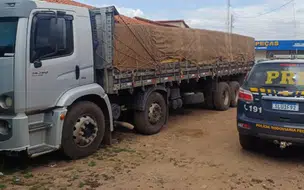 PRF flagra transporte irregular de madeira durante fiscalização em Batalha