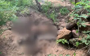 Corpo em decomposição é encontrado na zona rural de Picos