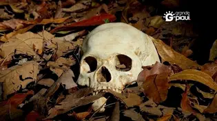Crânio humano é encontrado em área de matagal na zona Norte de Teresina