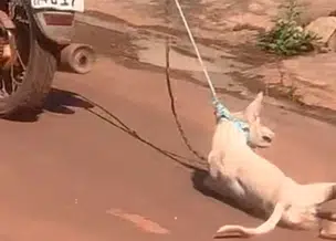 VÍDEO: Cachorro sendo arrastado por moto gera revolta em codó-MA