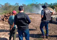 Operação resgata trabalhadores em condições análogas à escravidão em carvoaria no sul do Piauí