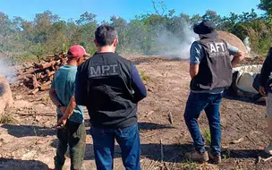Operação resgata trabalhadores em condições análogas à escravidão em carvoaria no sul do Piauí