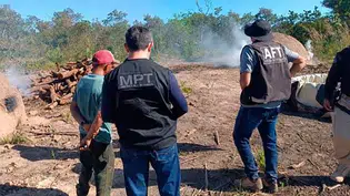 Operação resgata trabalhadores em condições análogas à escravidão em carvoaria no sul do Piauí