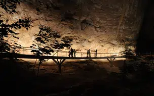 Parque Serra da Capivara celebra 47 anos como patrimônio histórico e ambiental do Brasil e do Mundo