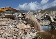 Sobe para 3.811 o número de mortos pelos terremotos na Venezuela