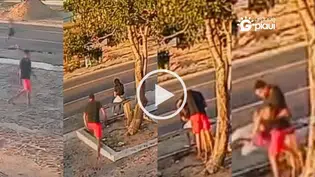 Vídeo: Mulher é atacada em plena luz de dia enquanto aguardava transporte em Parnaíba