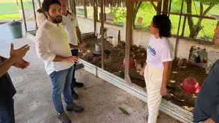 Piauí lança CODIPI COOP para fortalecer agricultura familiar e ampliar acesso ao mercado